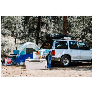 ectq1513pcd80b_6.jpg - Produto