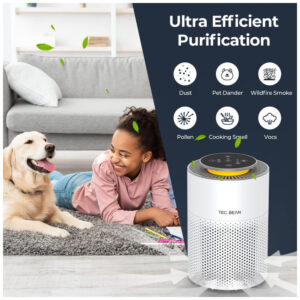 ectq1nbnmlf90b_4.jpg - Produto