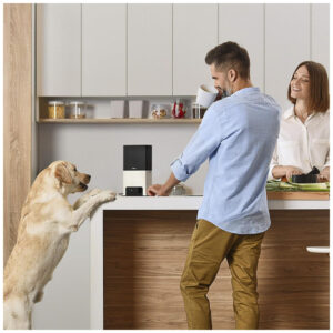 ectq1ywb4zq70b_4.jpg - Produto