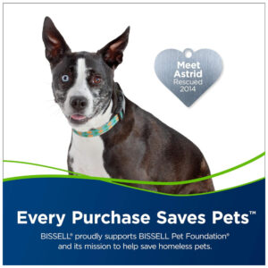 ectq2kwgwj380b_1.jpg - Produto