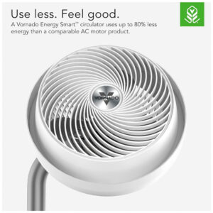 ectq4wjjyh870b_3.jpg - Produto