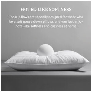 ectq8gsybij10b_2.jpg - Produto