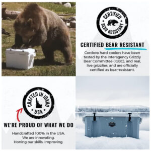 ectqbmvmz6nb0b_2.jpg - Produto