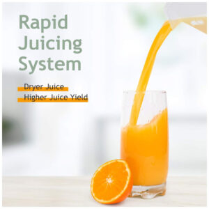 ectqdsj3l4z70b_1.jpg - Produto