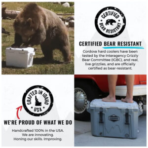 ectqgq6nz6nb0b_2.jpg - Produto