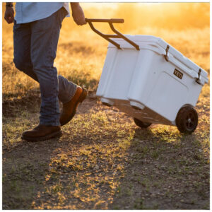 ectqgxndzjg70b_7.jpg - Produto