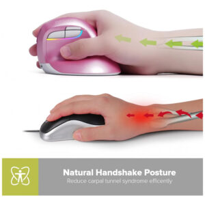 ectqhflkh4j70b_1.jpg - Produto