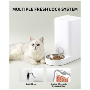 ectqhhpc1sg80b_2.jpg - Produto