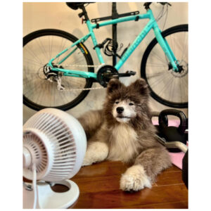 ectqid1y61n10b_1.jpg - Produto