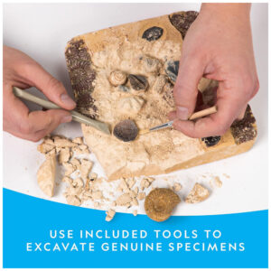 ectqk5sbj0610b_2.jpg - Produto