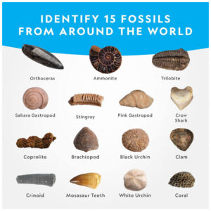 ectqk5sbj0610b_3.jpg - Produto