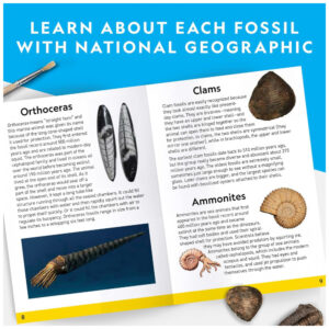 ectqk5sbj0610b_4.jpg - Produto