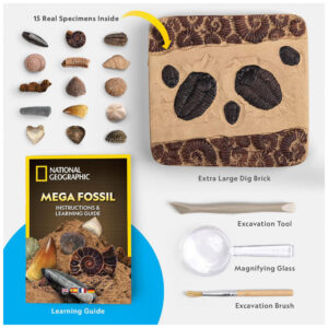 ectqk5sbj0610b_5.jpg - Produto