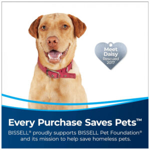 ectqqlqwqzd80b_1.jpg - Produto