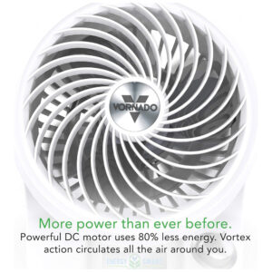 ectqr5qwz9z70b_3.jpg - Produto