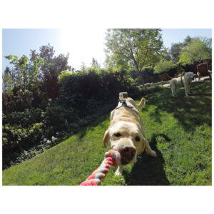 ectqsjqf13n00b_4.jpg - Produto