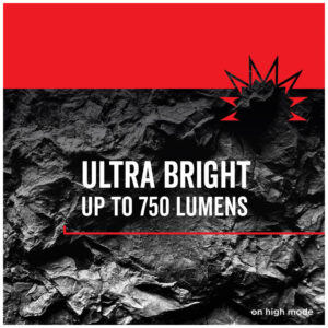 ectqu4yapon00b_1.jpg - Produto