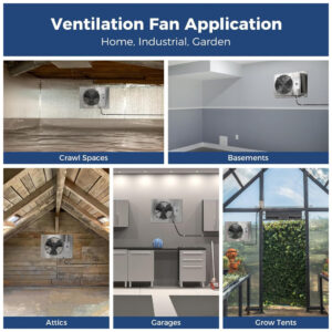 ectqvkfydldc0b_5.jpg - Produto