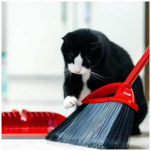 ectqxvllz9z80b_5.jpg - Produto