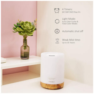 ectqyq3rqbl70b_2.jpg - Produto